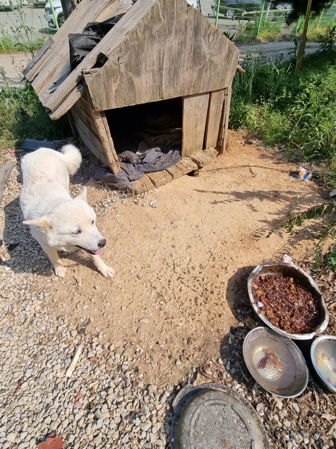 부디 아이들을 구조해주세요