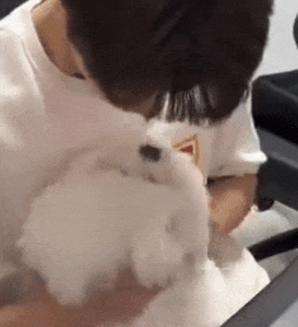 아이돌 동물학대,애니멀호더 제보합니다
