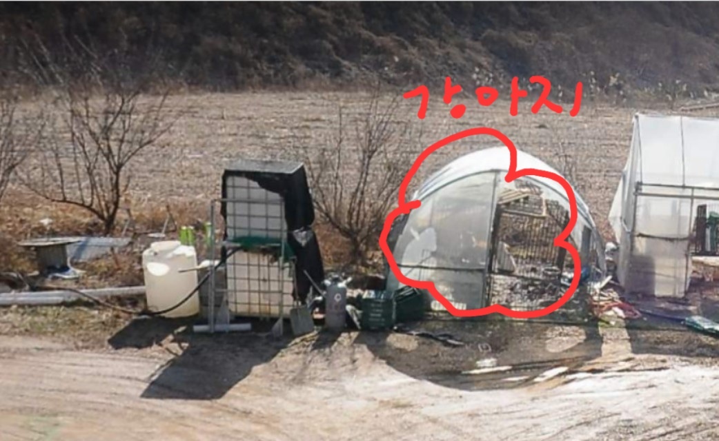 아무것도 노출하고 싶지 않아서 제목에 내용은 쓰지 않겠습니다 글을 꼭 읽어주세요