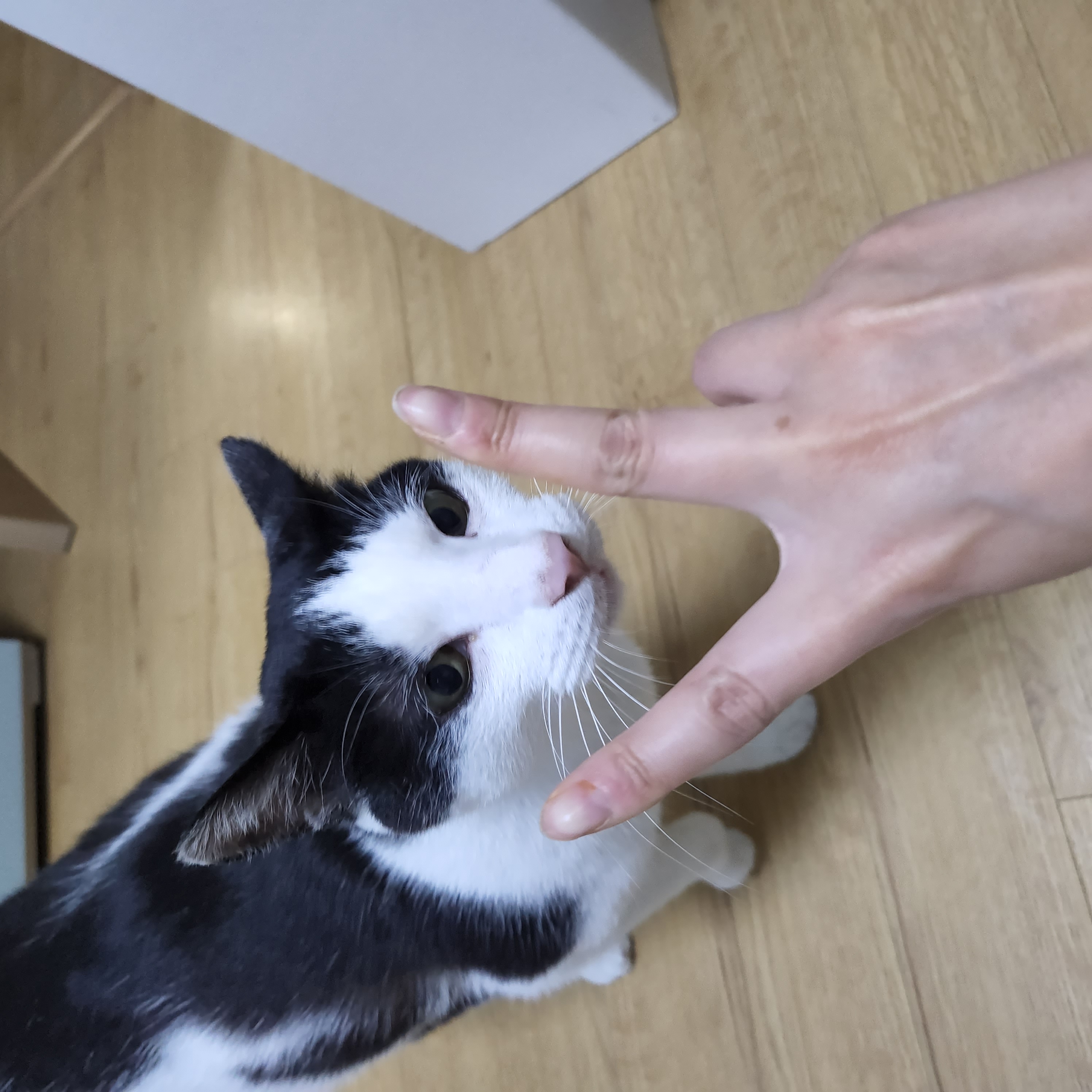 6월새싹이네집 작은변화