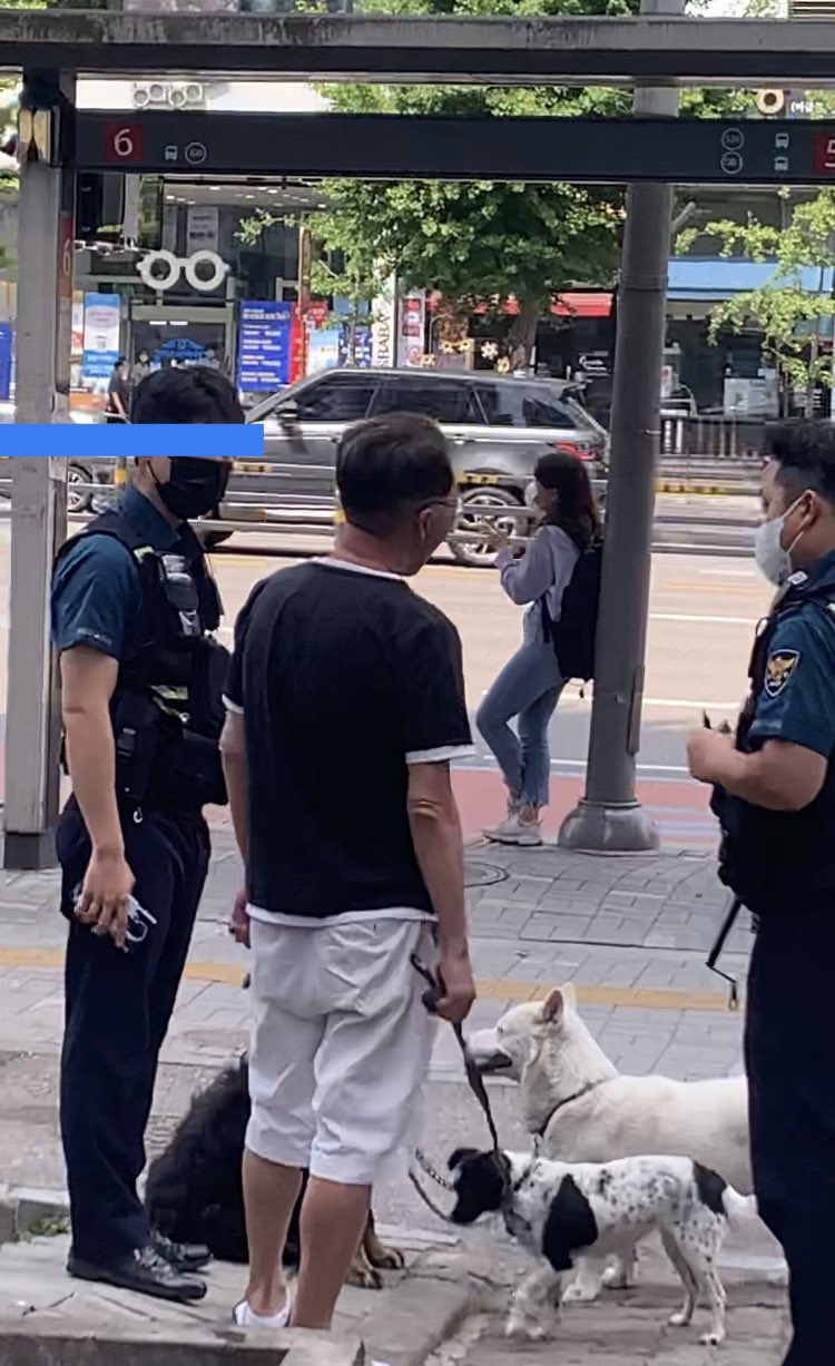 미금역 1번출구 매일같이 방치 및 학대 당하고 있는 3마리의 개 제발 구조해주세요