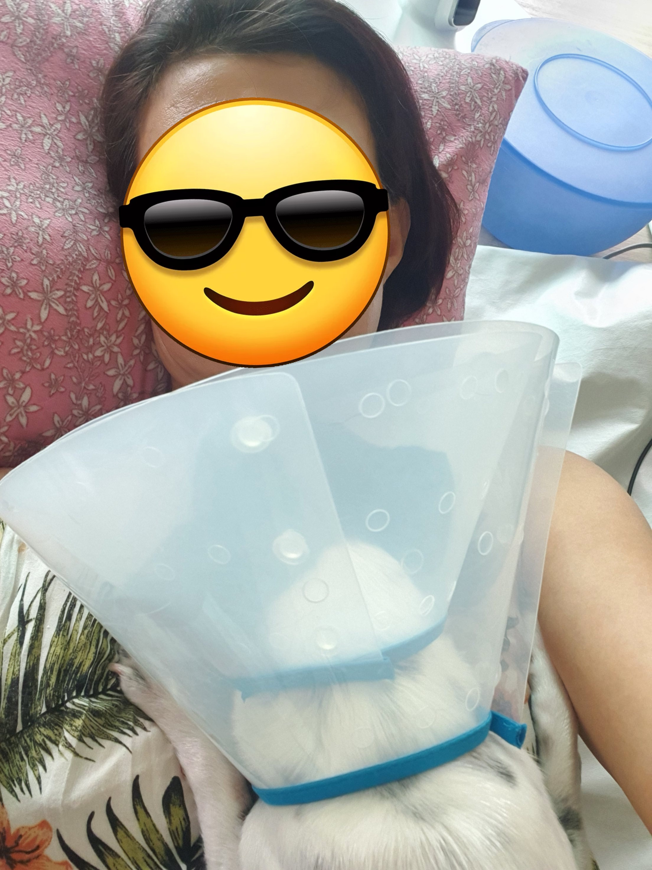 하니(모원)가 온지도 어느덧 10개월