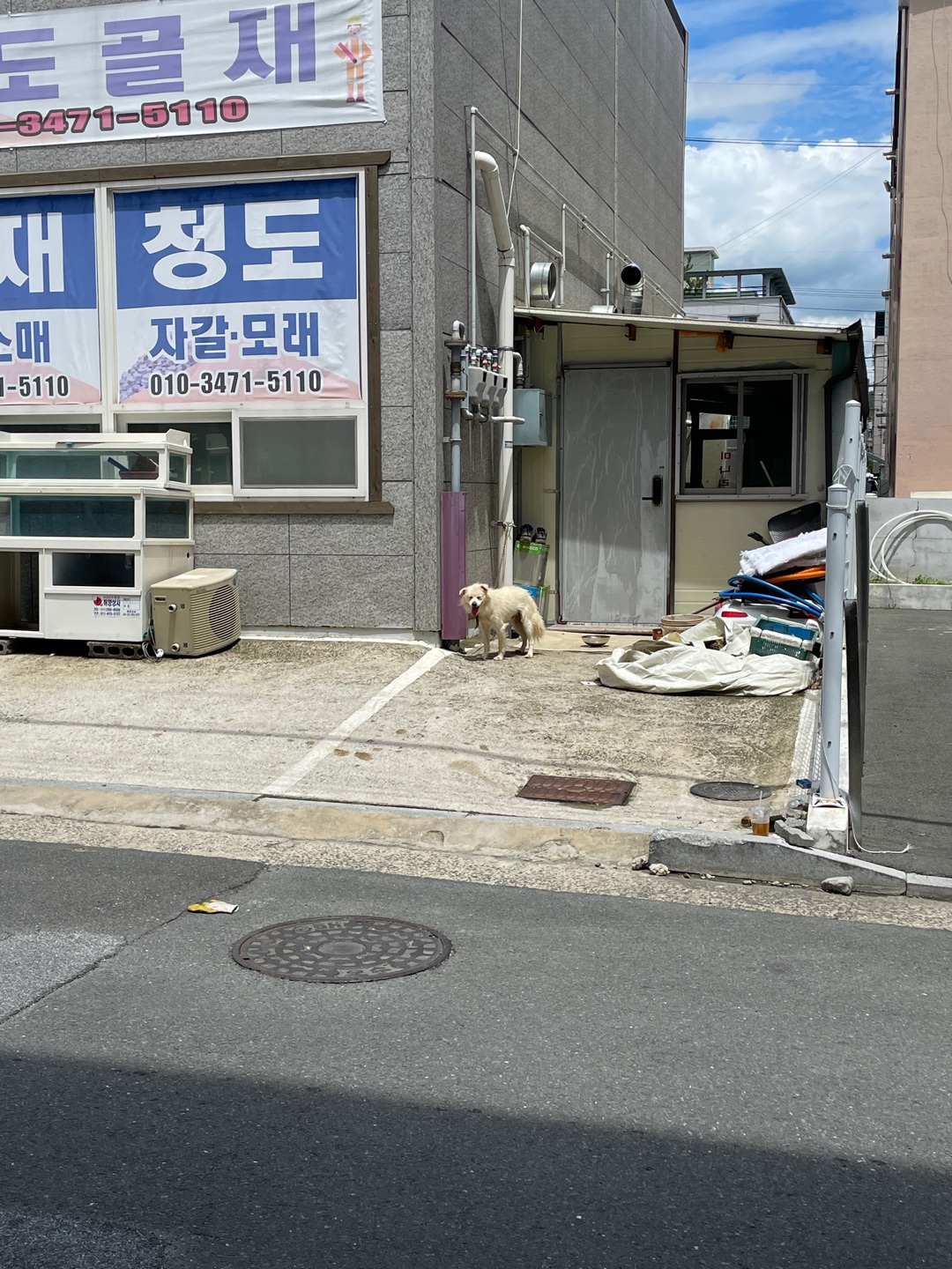 아이가 너무 방치되어있어요 구해주세요