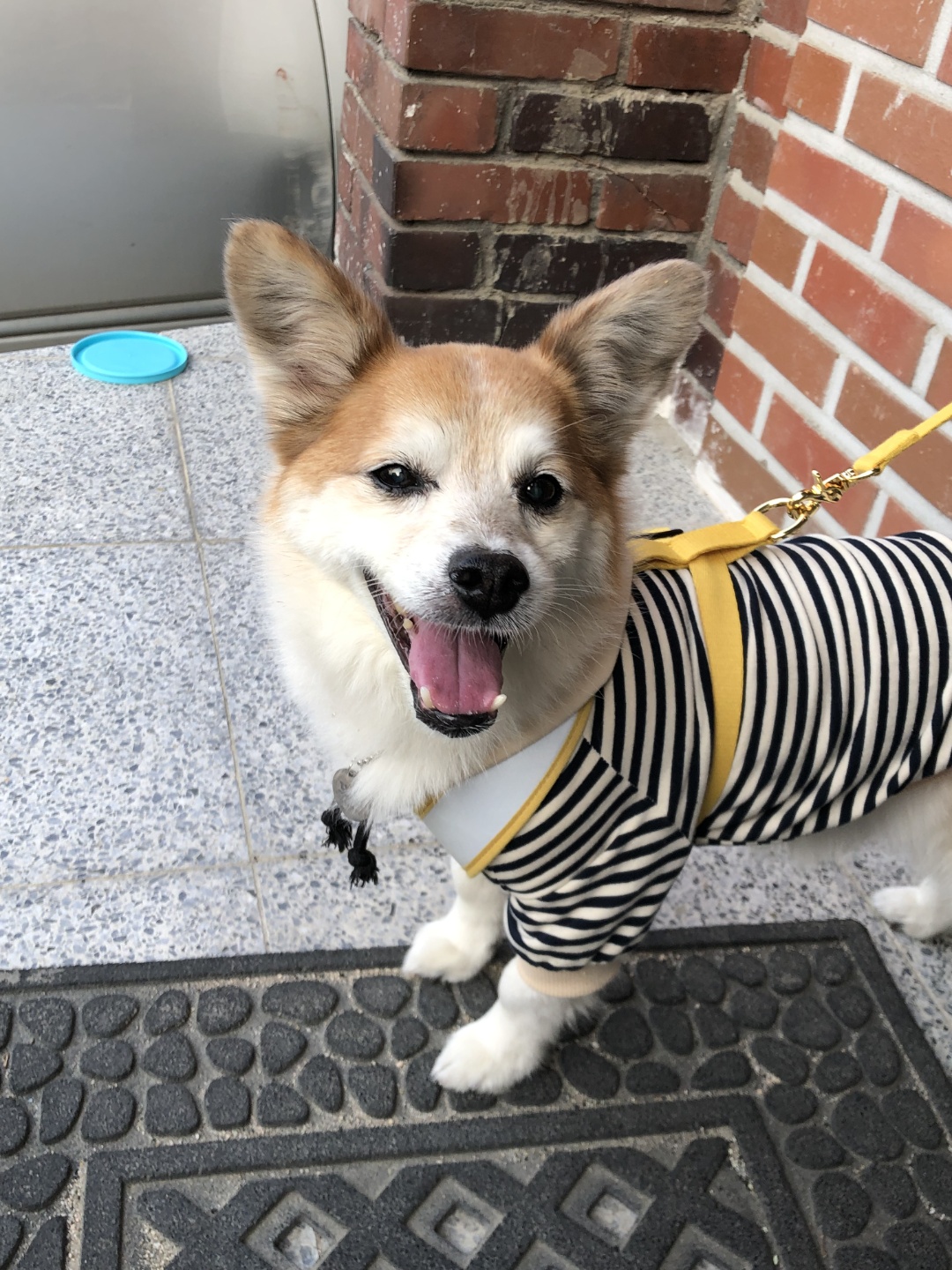 꼬마와 1년이 됐어요!!