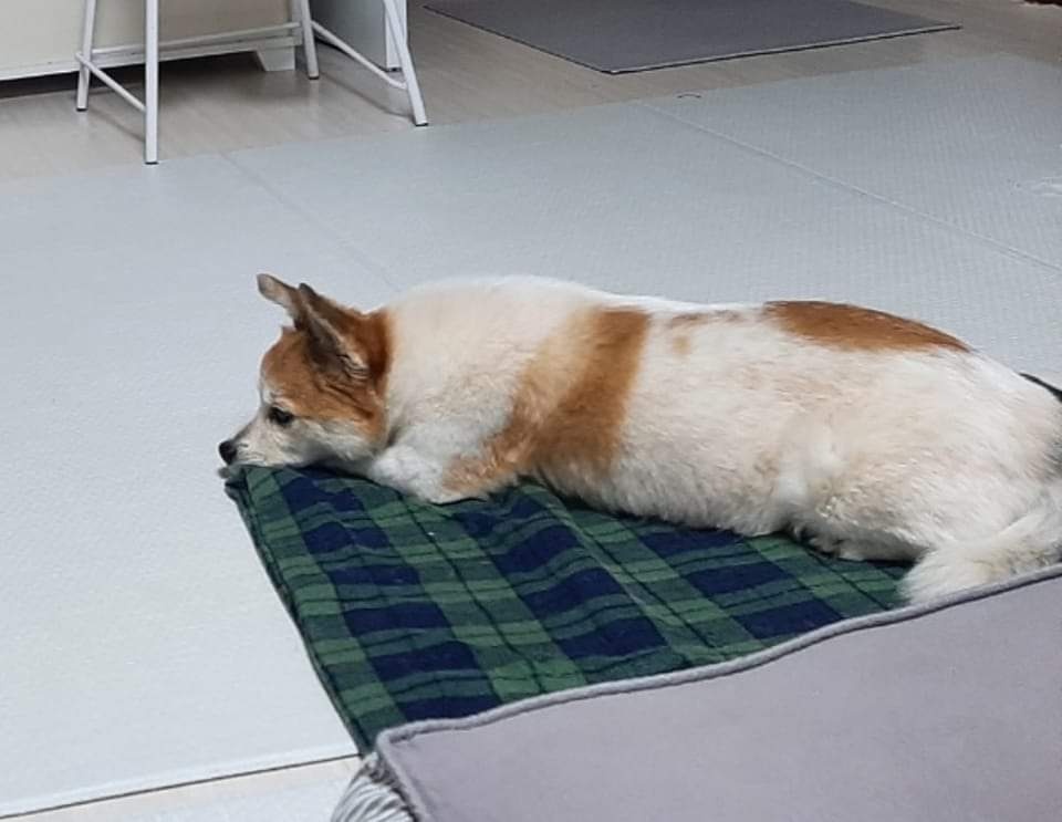 꼬마와 1년이 됐어요!!
