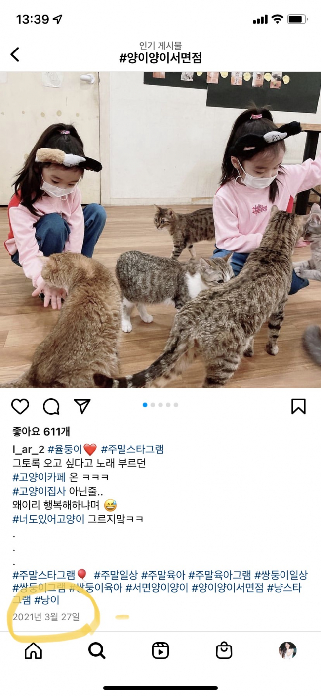 2020년 부산 서면 양이양이 카페 고양이들 방치한 사건에 대해 제보가 있었는지 확인이 가능할까요?