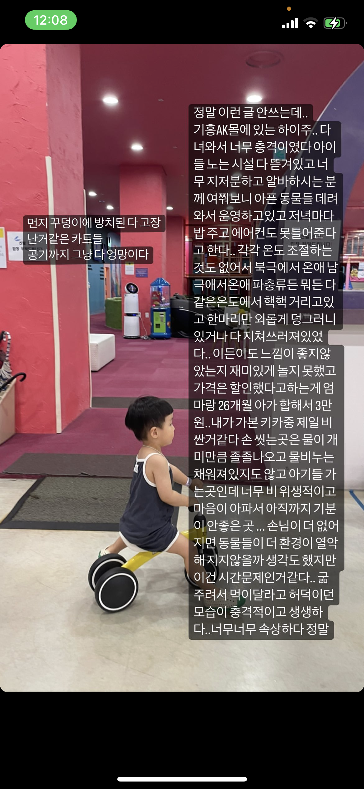 기흥 동물 있는 키즈카페