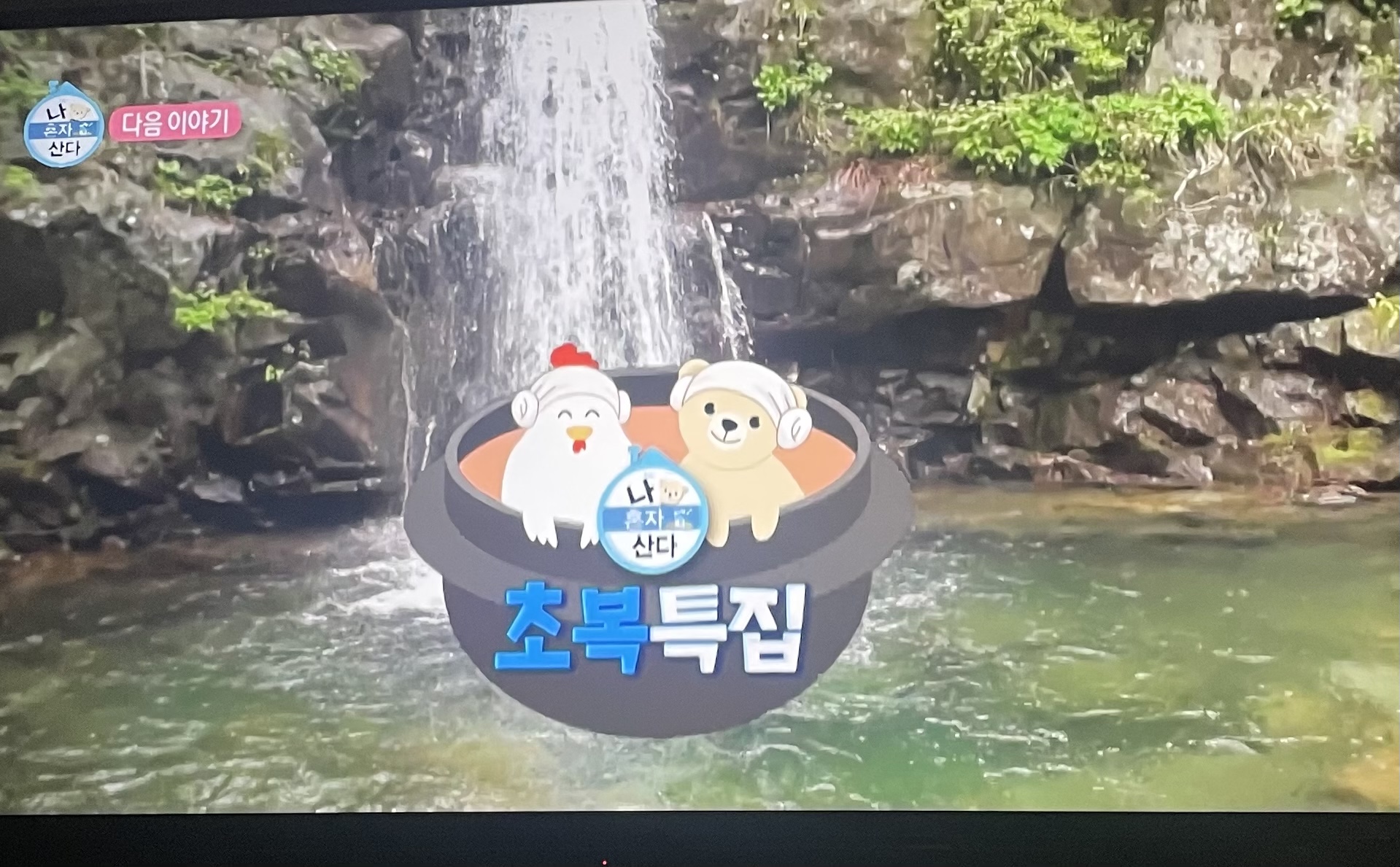 MBC 나혼자산다 초복 특집 동물학대 자막