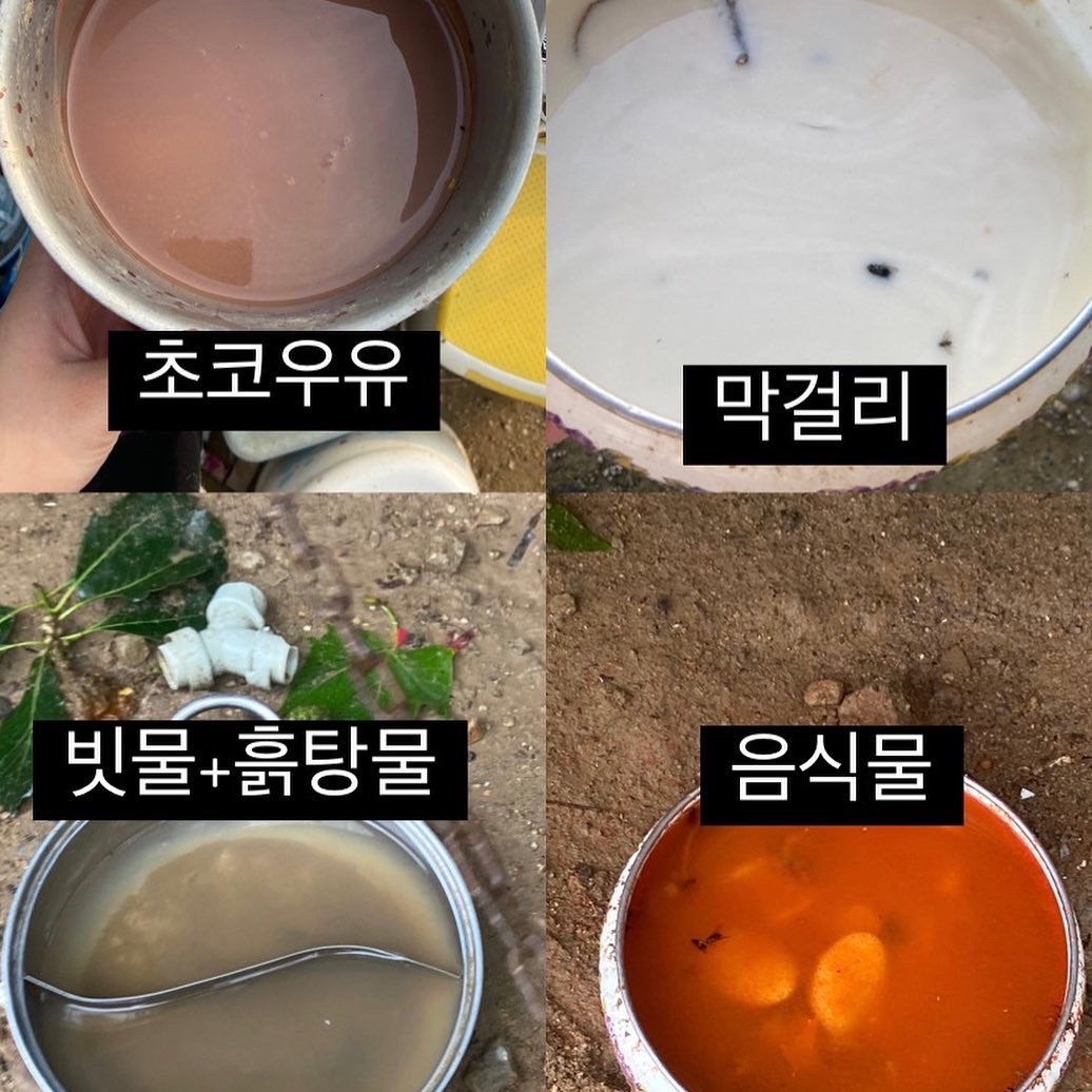 진도 세 마리가 사라졌습니다.