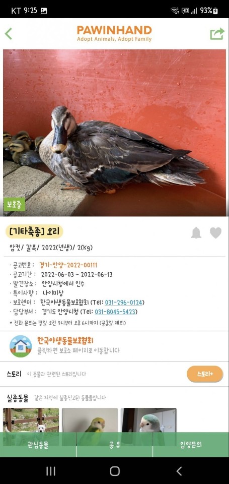 오리 아기들을 몰살시킨 안양시청 공론화해주세요