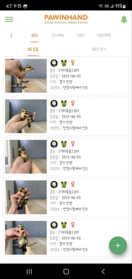 오리 아기들을 몰살시킨 안양시청 공론화해주세요