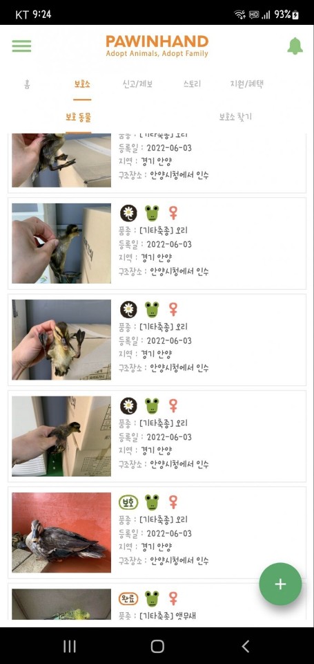 오리 아기들을 몰살시킨 안양시청 공론화해주세요