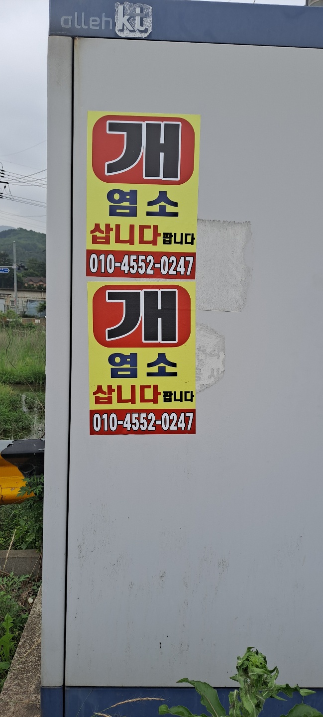 개 삽니다 전단지를 발견했습니다.!! (경기도 남양주시 수동)