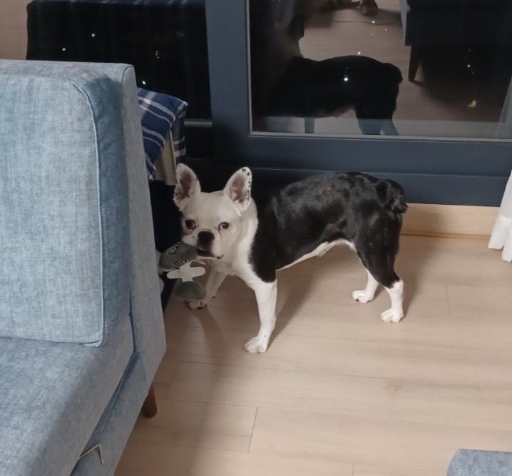 애둥이 5개월 이야기^^