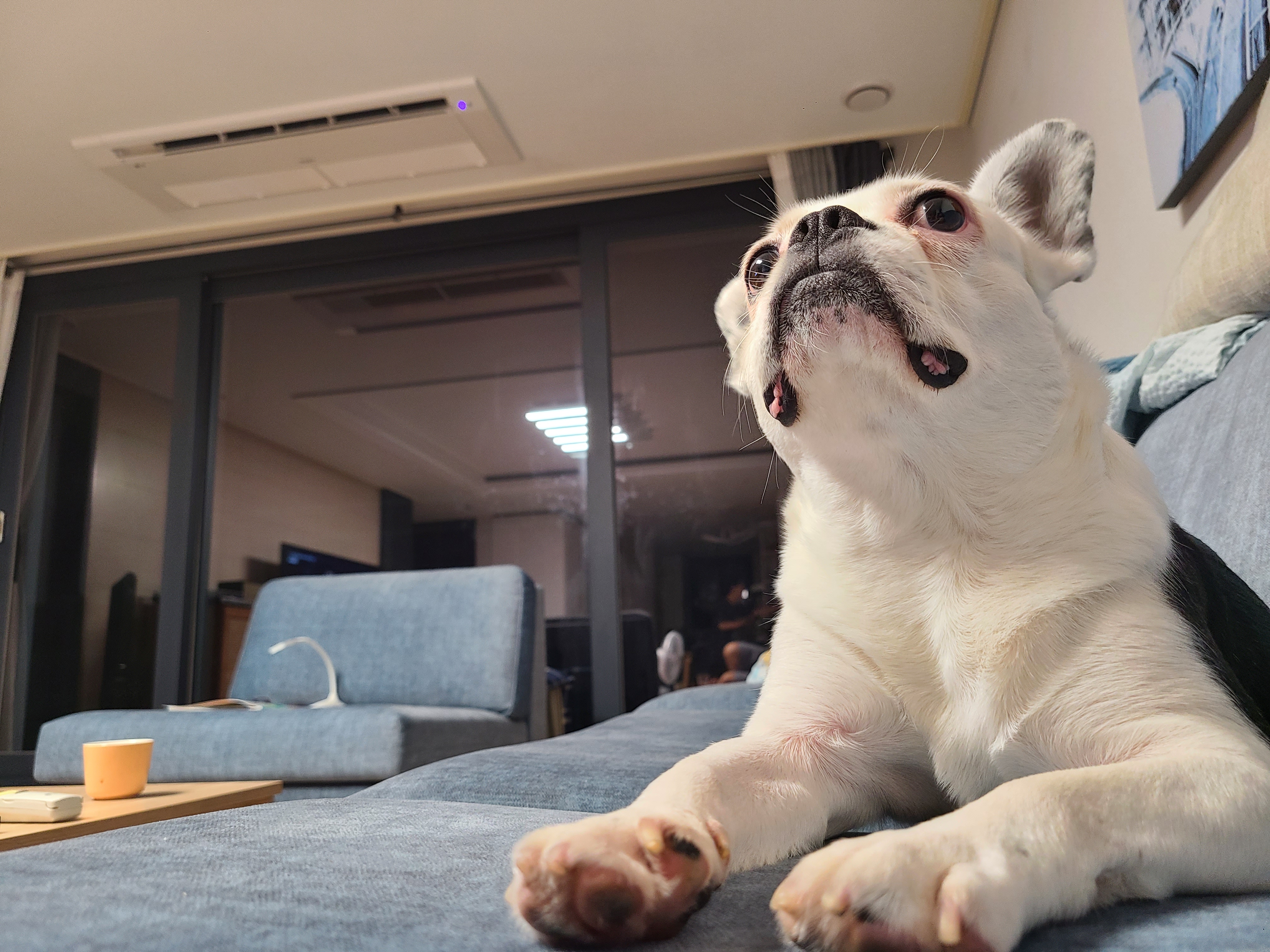 애둥이 5개월 이야기^^
