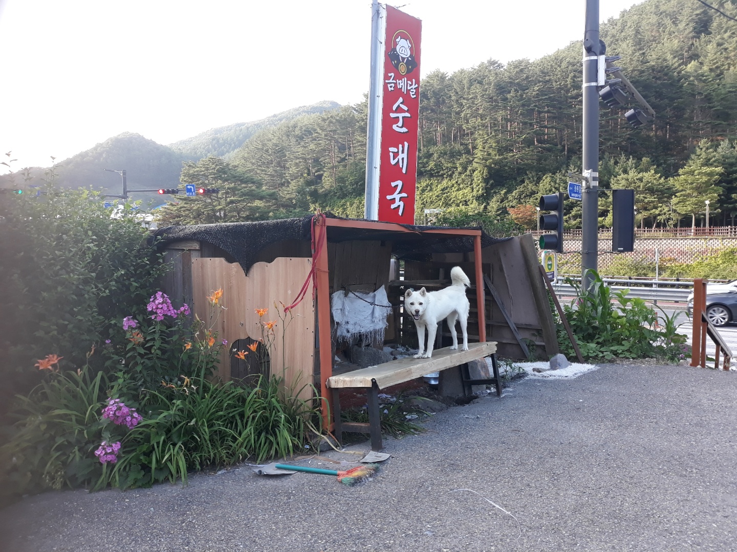 이런 경우에도 신고 가능한가요?