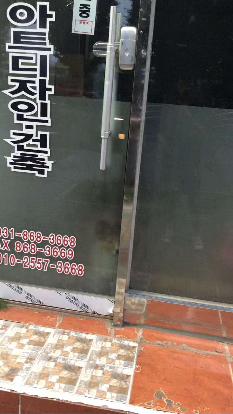 너무 뜨거운곳에 강아지가 방치되고있어요