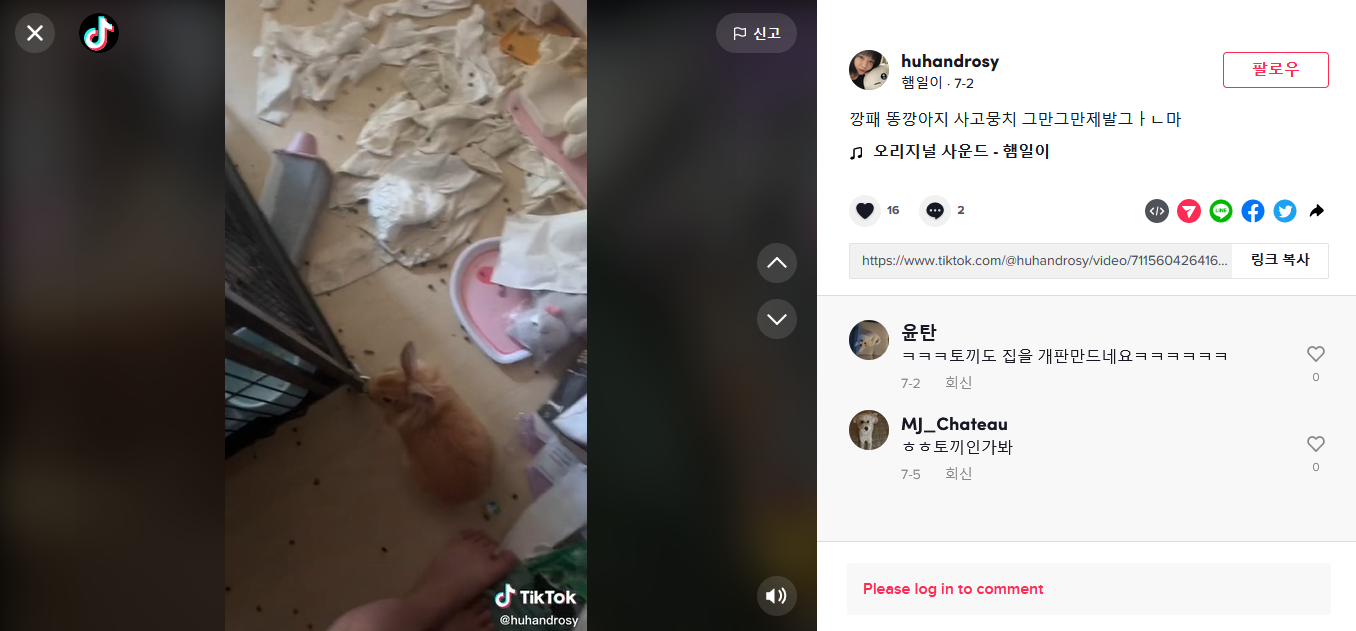 애니멀 호더 계정 신고합니다.