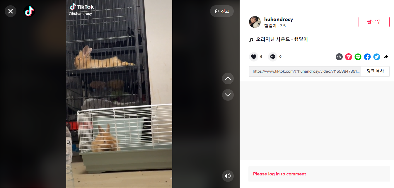 애니멀 호더 계정 신고합니다.