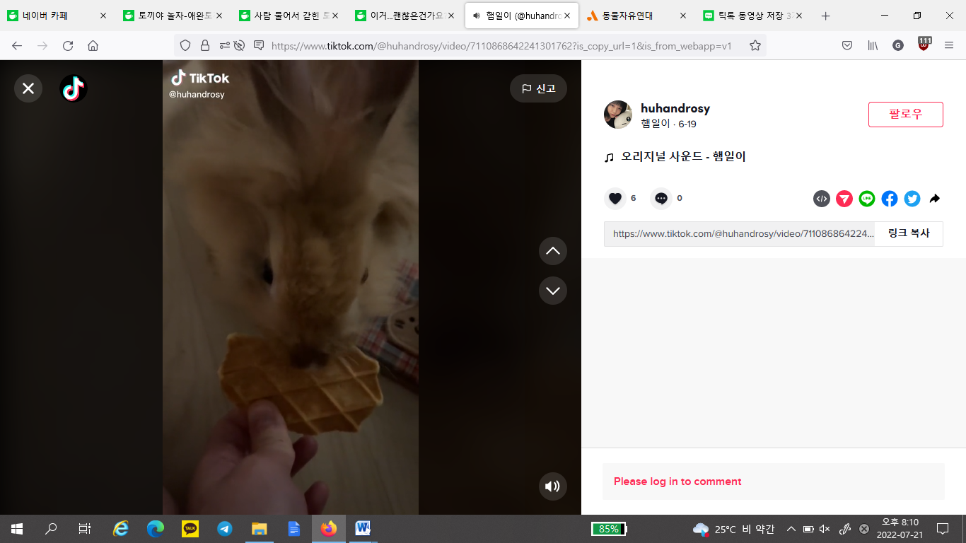 애니멀 호더 계정 신고합니다.