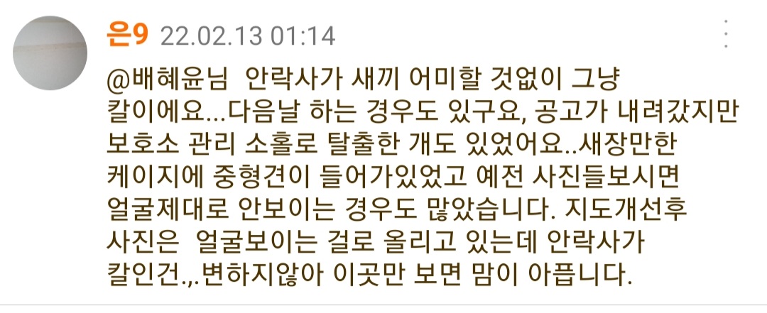 조기안락사 시키는 병원
