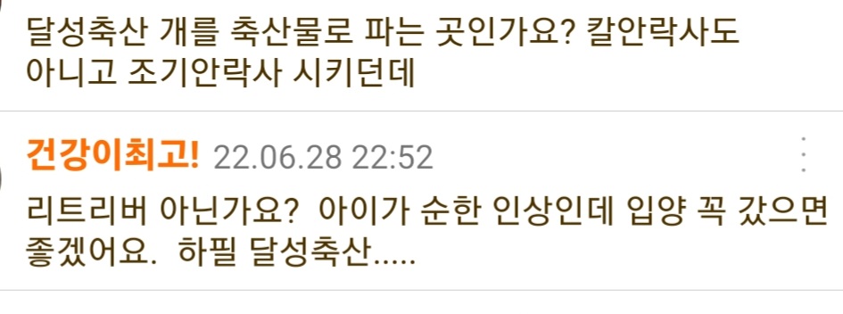조기안락사 시키는 병원