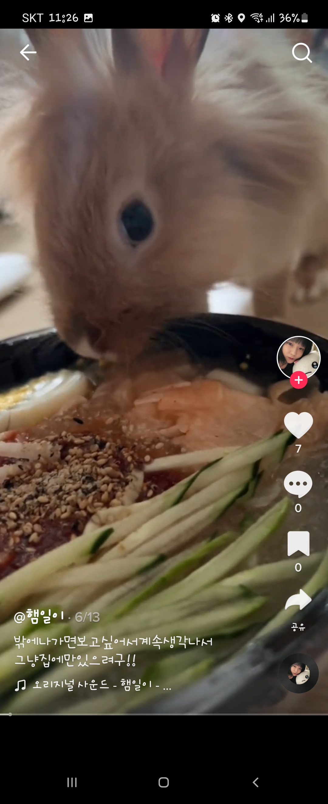 틱톡 토끼학대범 신고합니다.