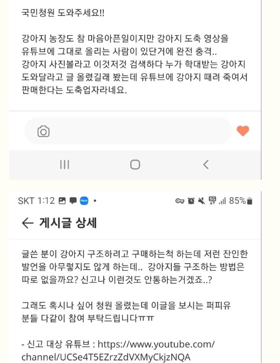 유투버 (개도축 전문가) 신고