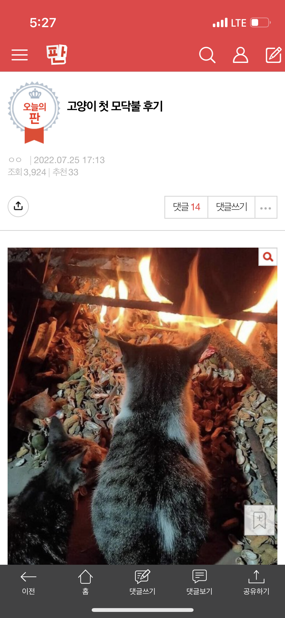학대의심 됩니다. 확인부탁드립니다.