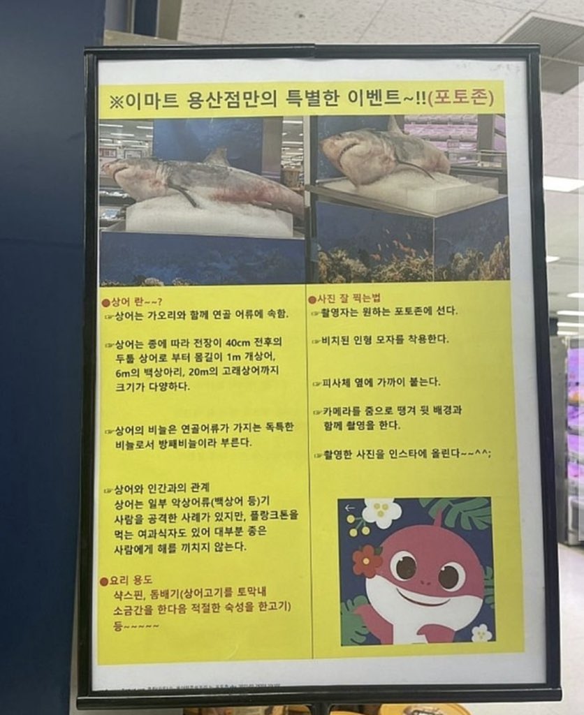 상어 시체 전시하는 이마트 용산점