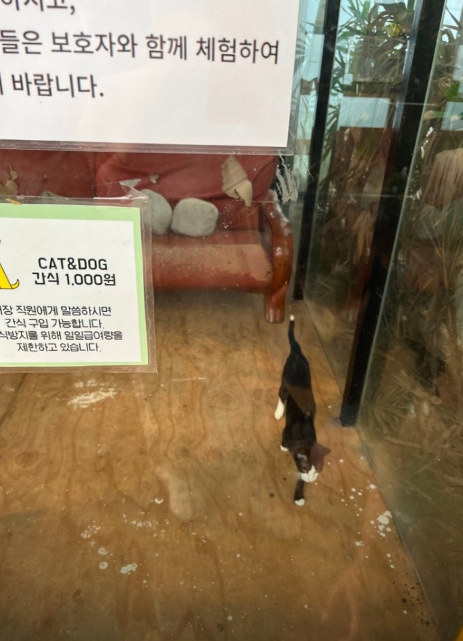 열악한 환경에서 방치되는 듯한 소동물들을 구해주세요