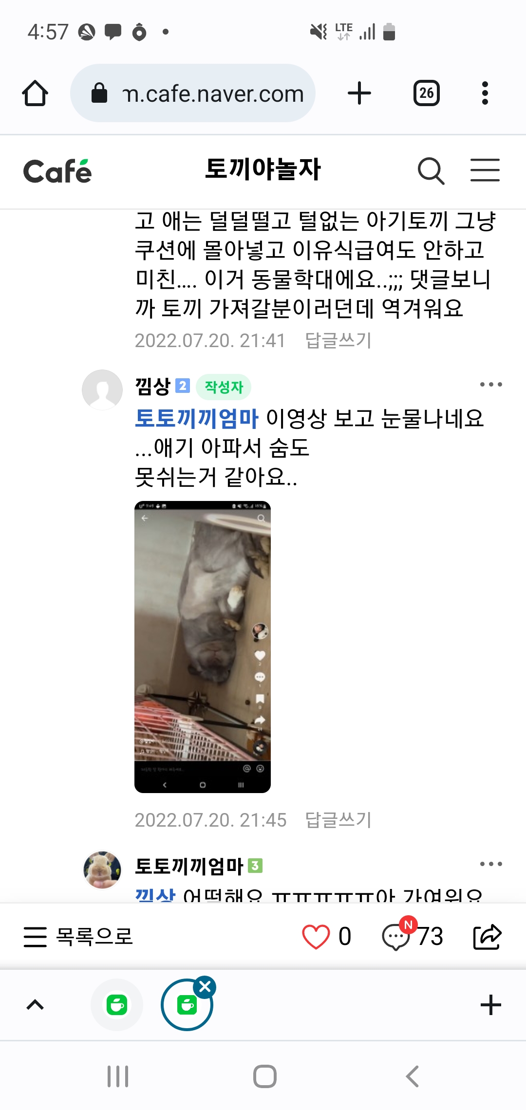 토끼 학대범 신고합니다.