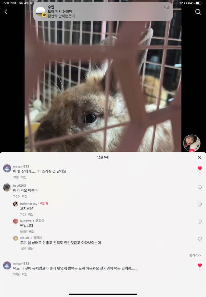 토끼 학대범 신고합니다.