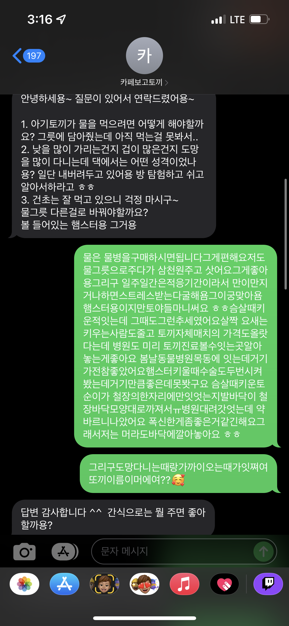 토끼학대