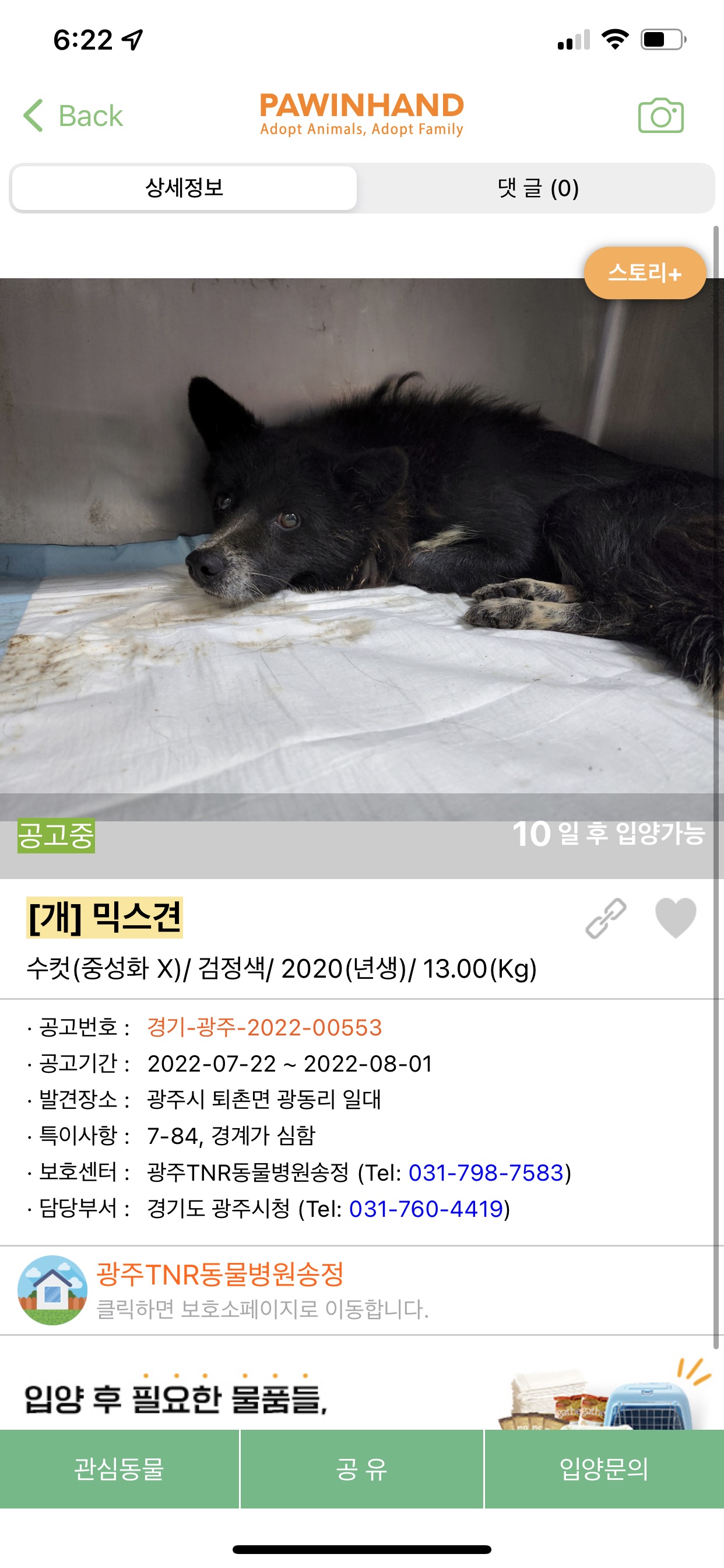 넥카라를 한채로 다니는 떠돌이견 깜보를 구해주세요.(학대X)