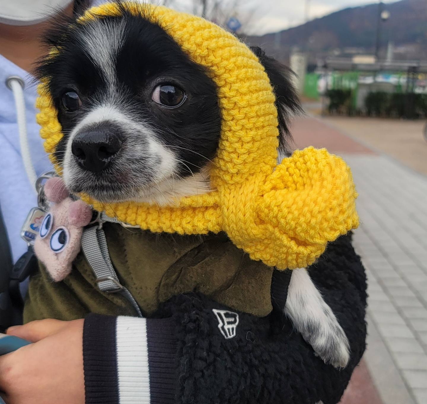 자이와 함께한 1년
