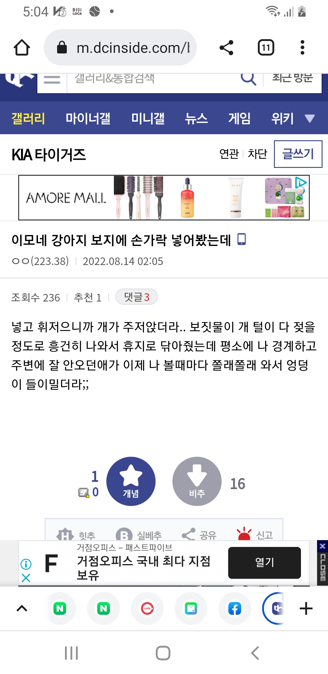 강아지 성적학대