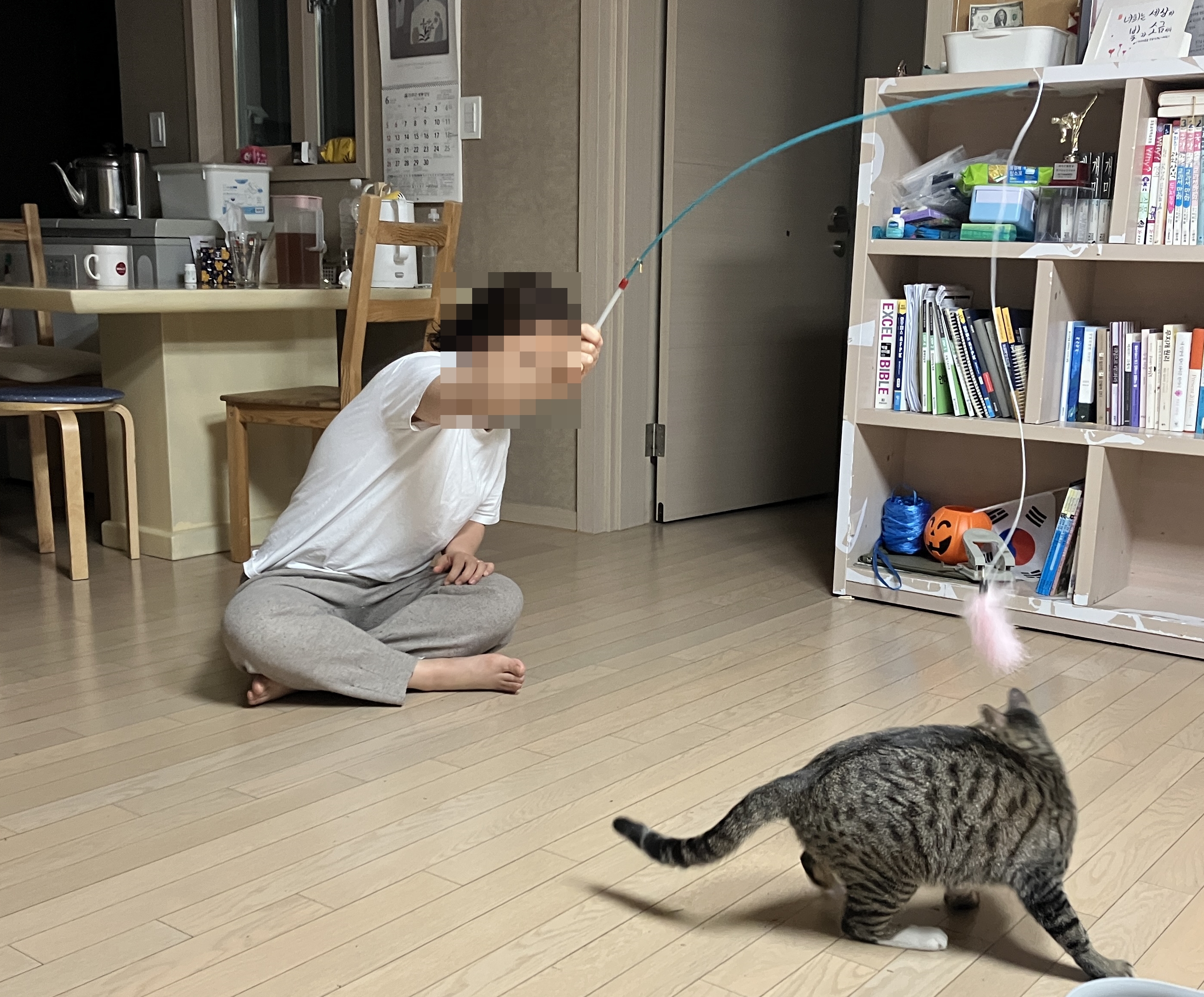 낭만이(센터명 검이)와 지낸지 석달이 되었네요.
