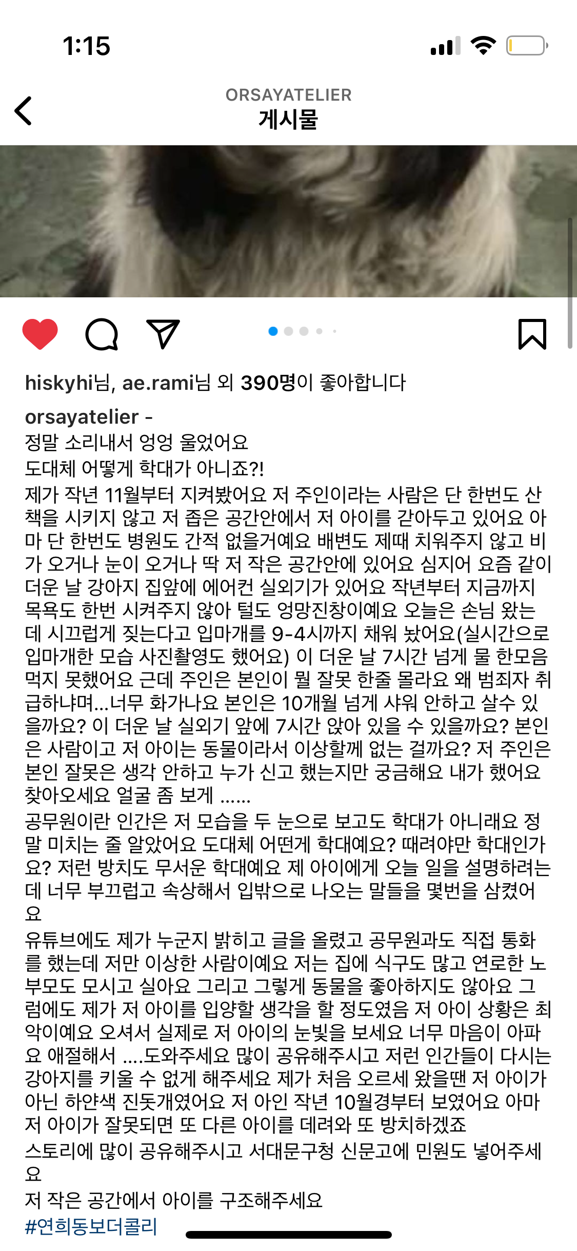 연희동 보더콜리 학대 구조를 도와주세요