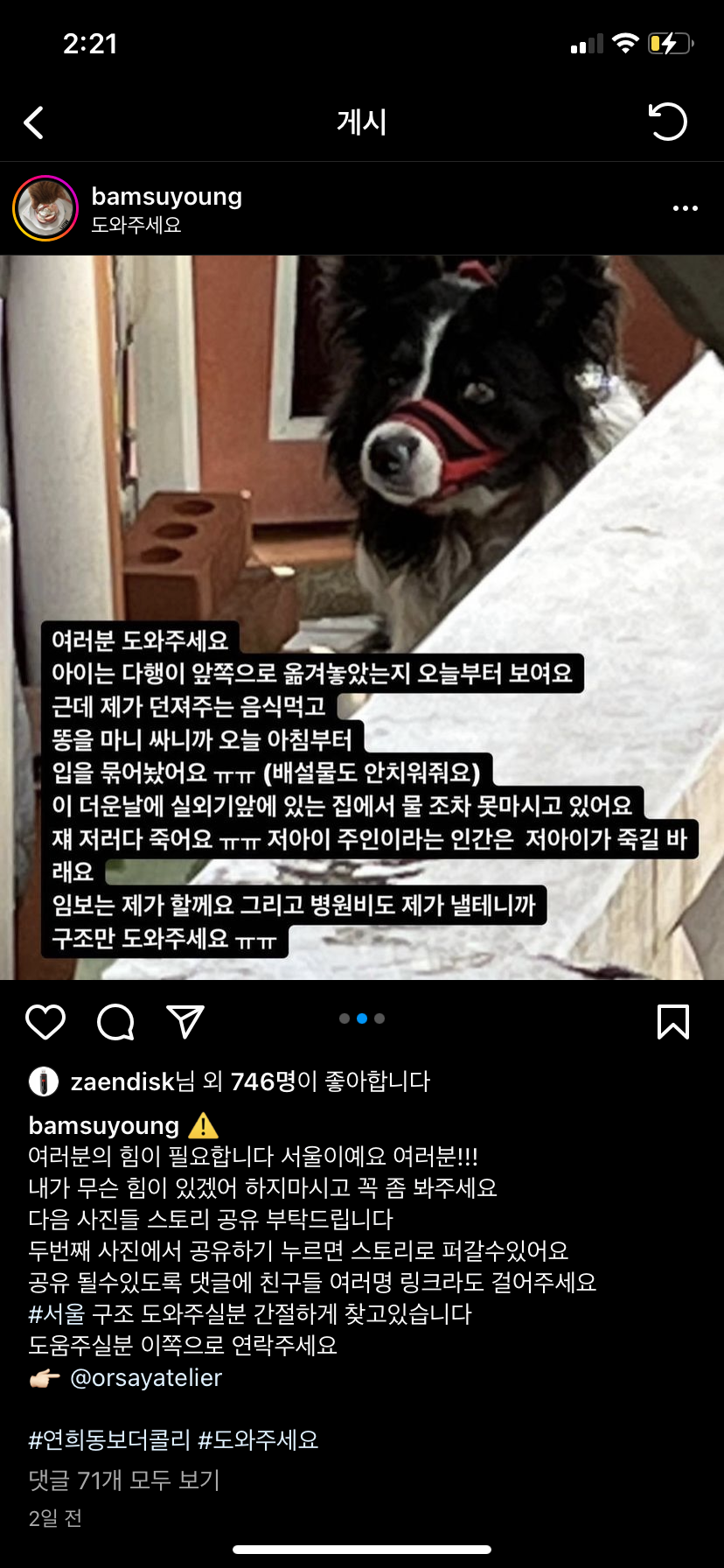 입이 묶여 물과 음식을 섭취하지 못하는 강아지를 구조부탁드립니다.
