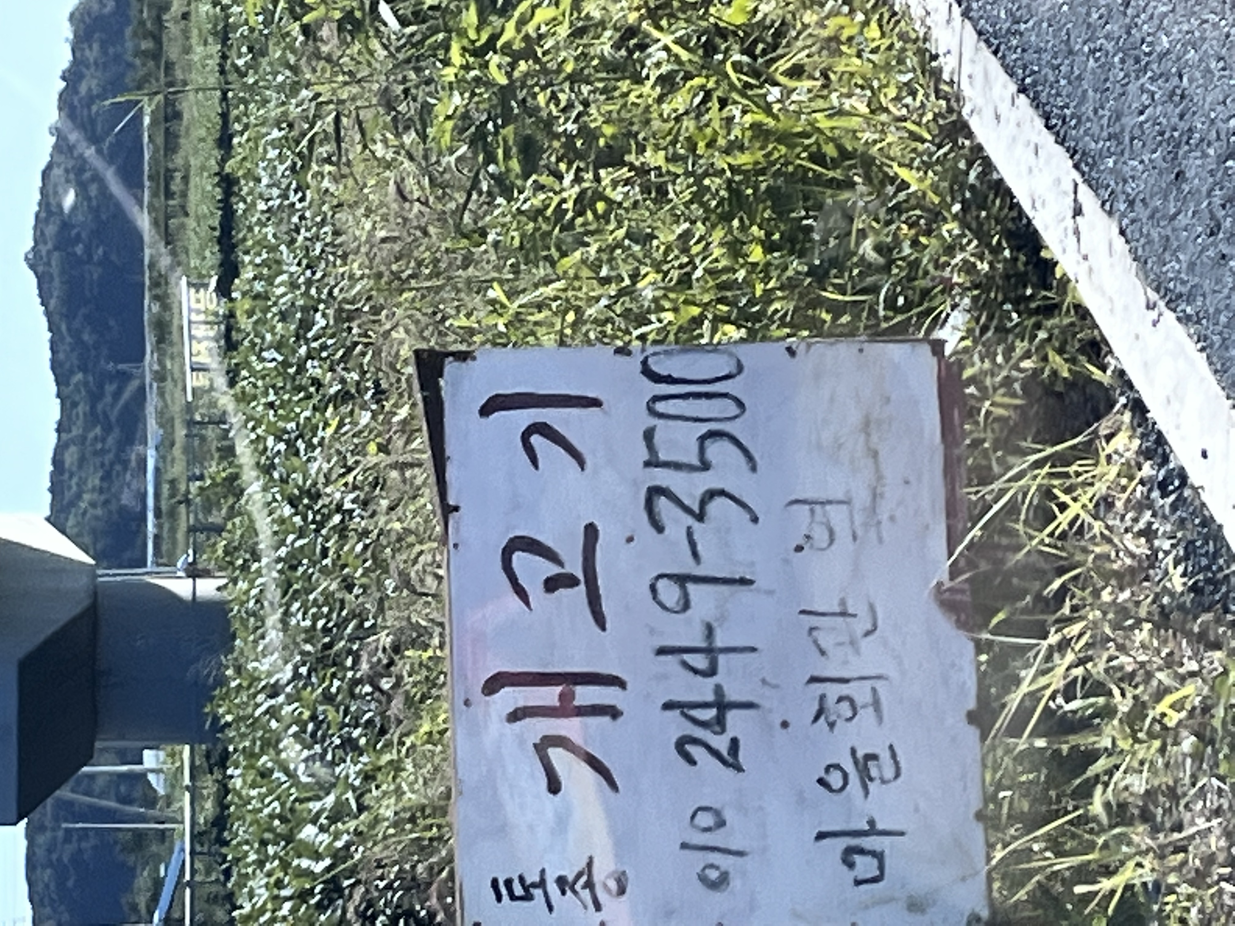 화성시 개도살장 제보합니다