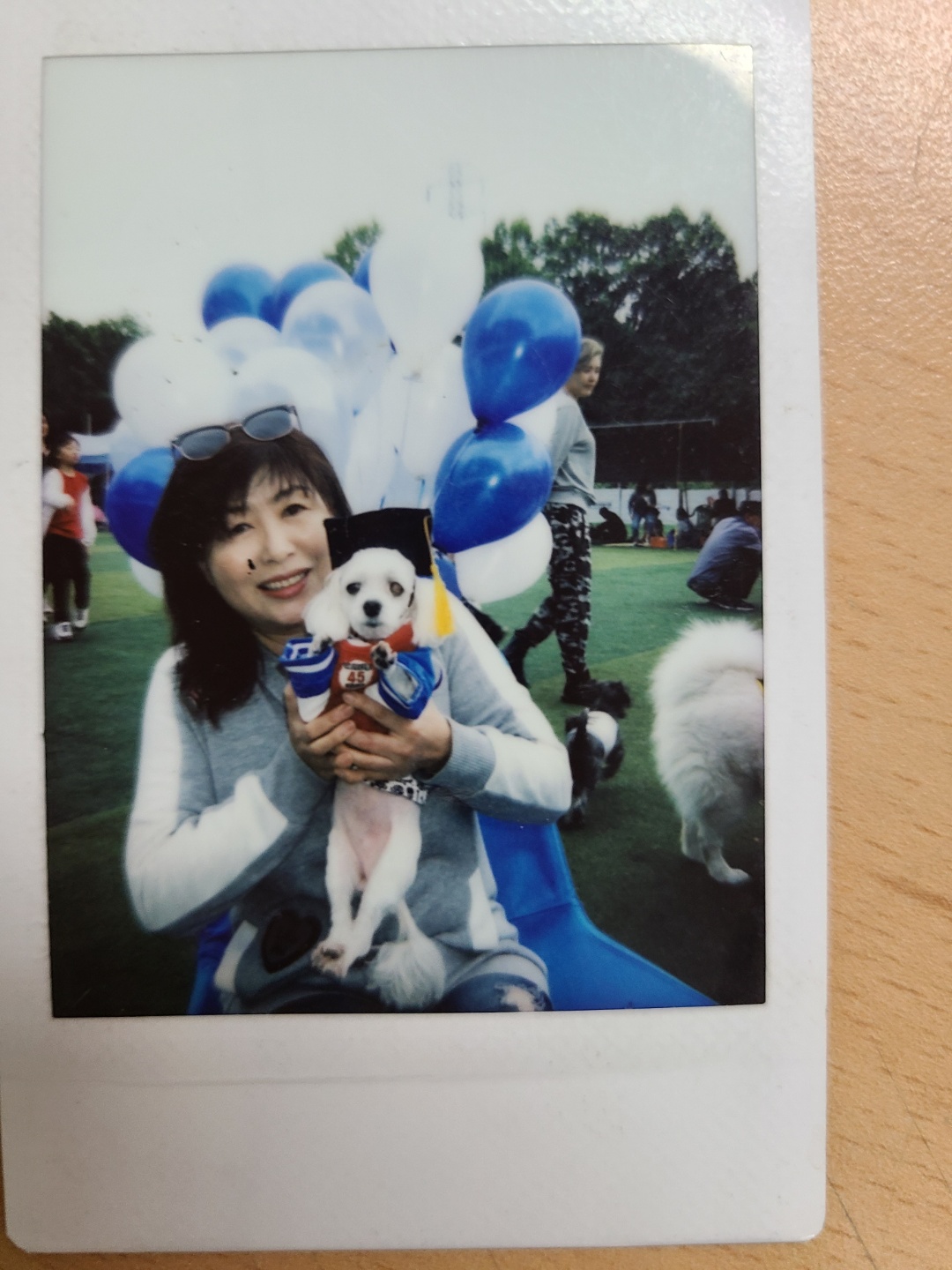 울사랑이가 별이되어 제맘에 묻힌지 3년된 날입니다