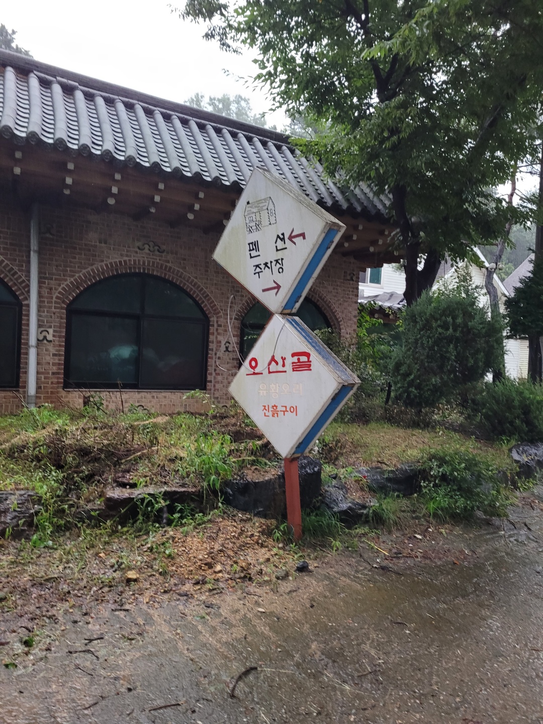 집 근처 방치견을 구조할 방법이 없을까요?