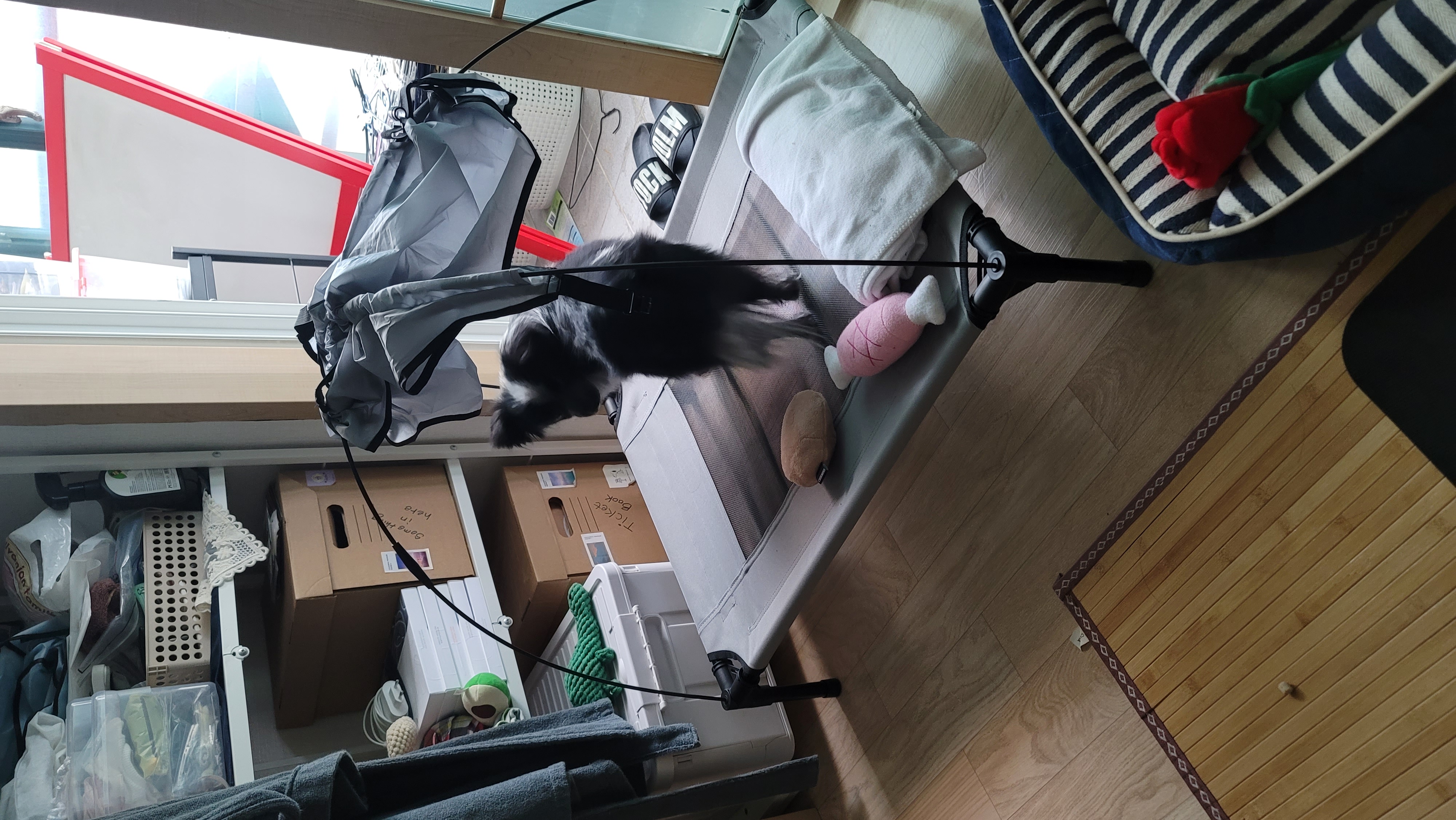 크루 3개월 차, 이제 정식 가족이 되었어요^^