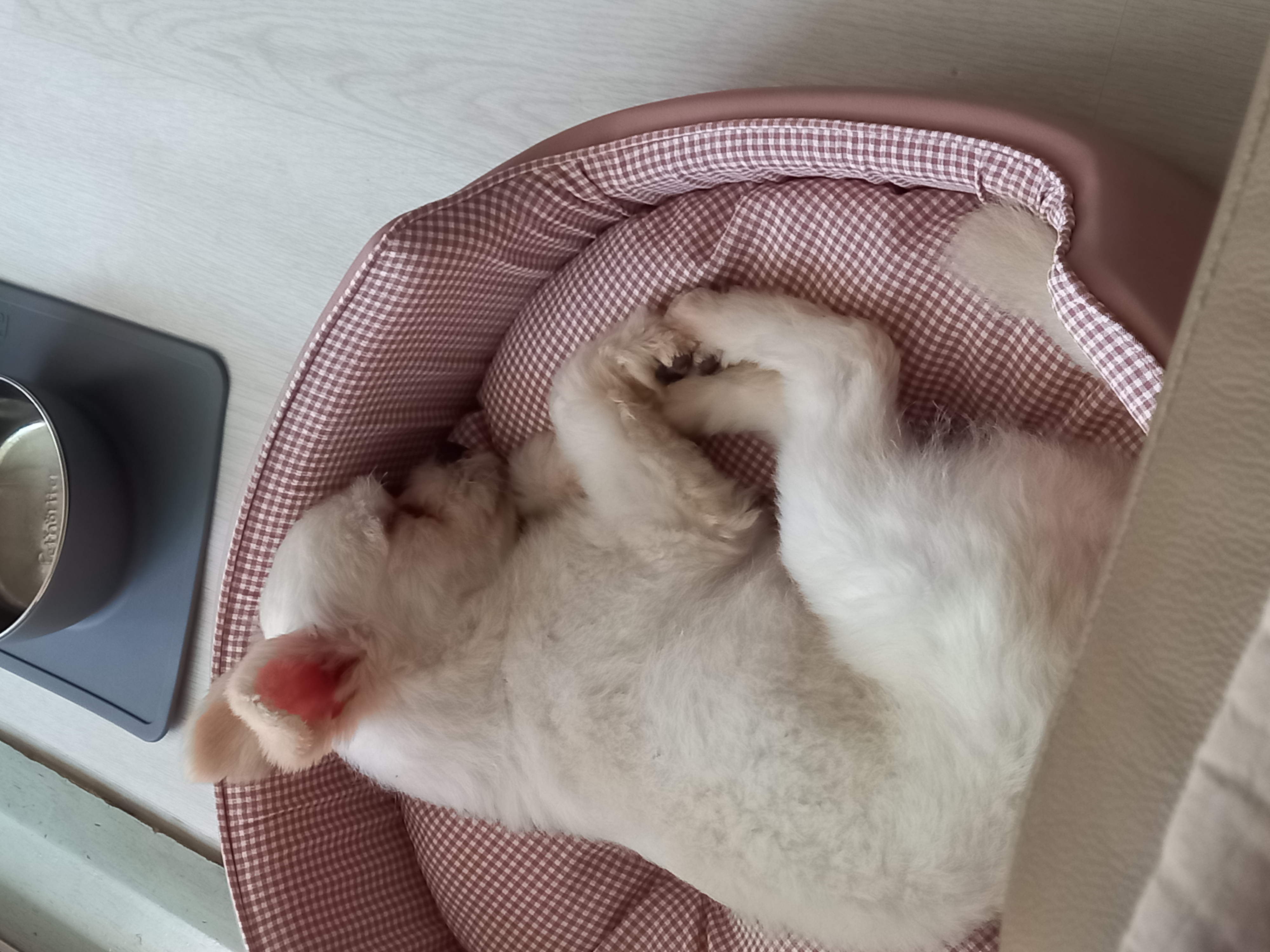 설기(오식이) 