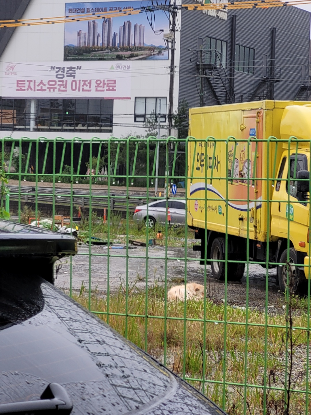 바로 앞에 보신탕집,,제발 한번읽어주세요