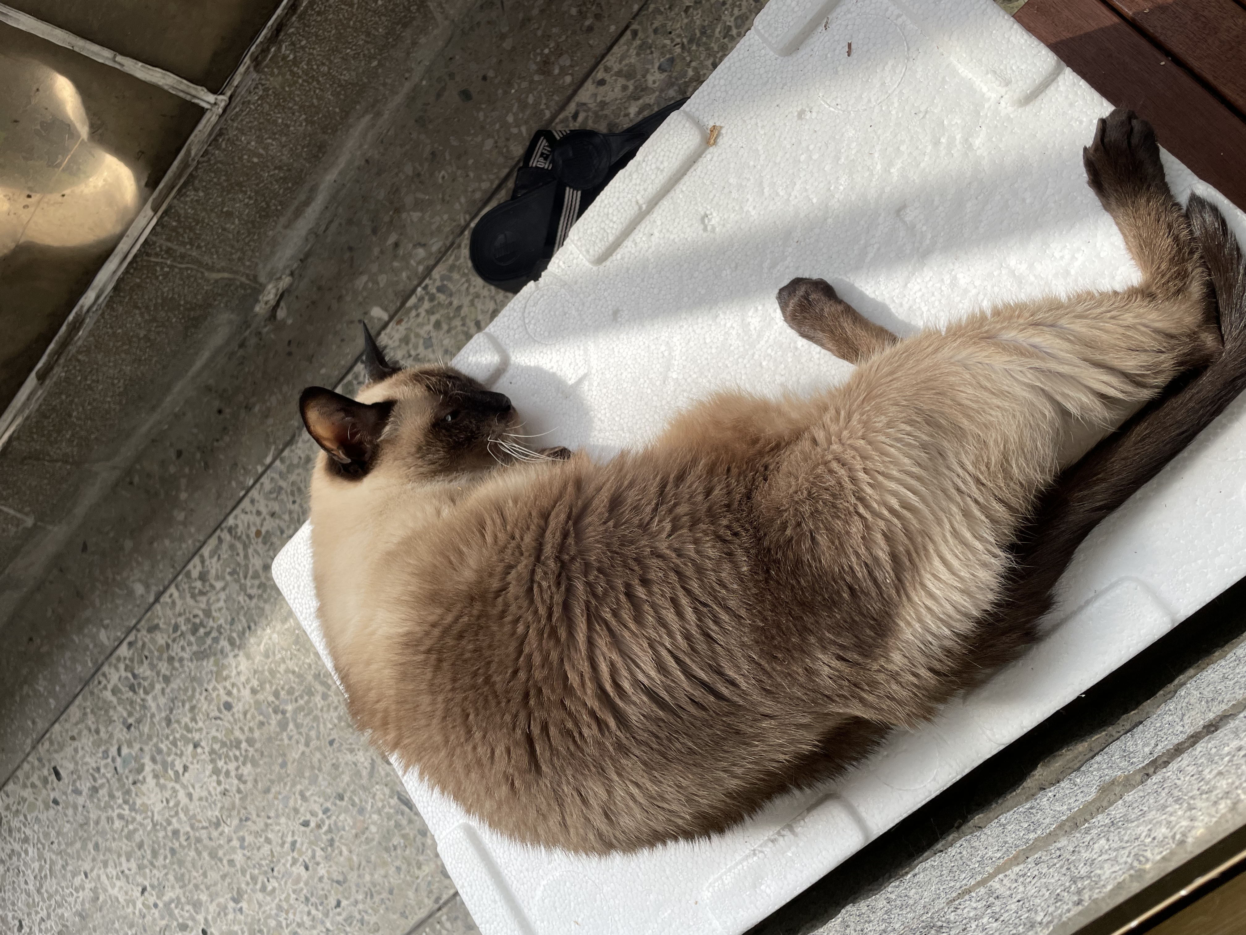 포도와 한달