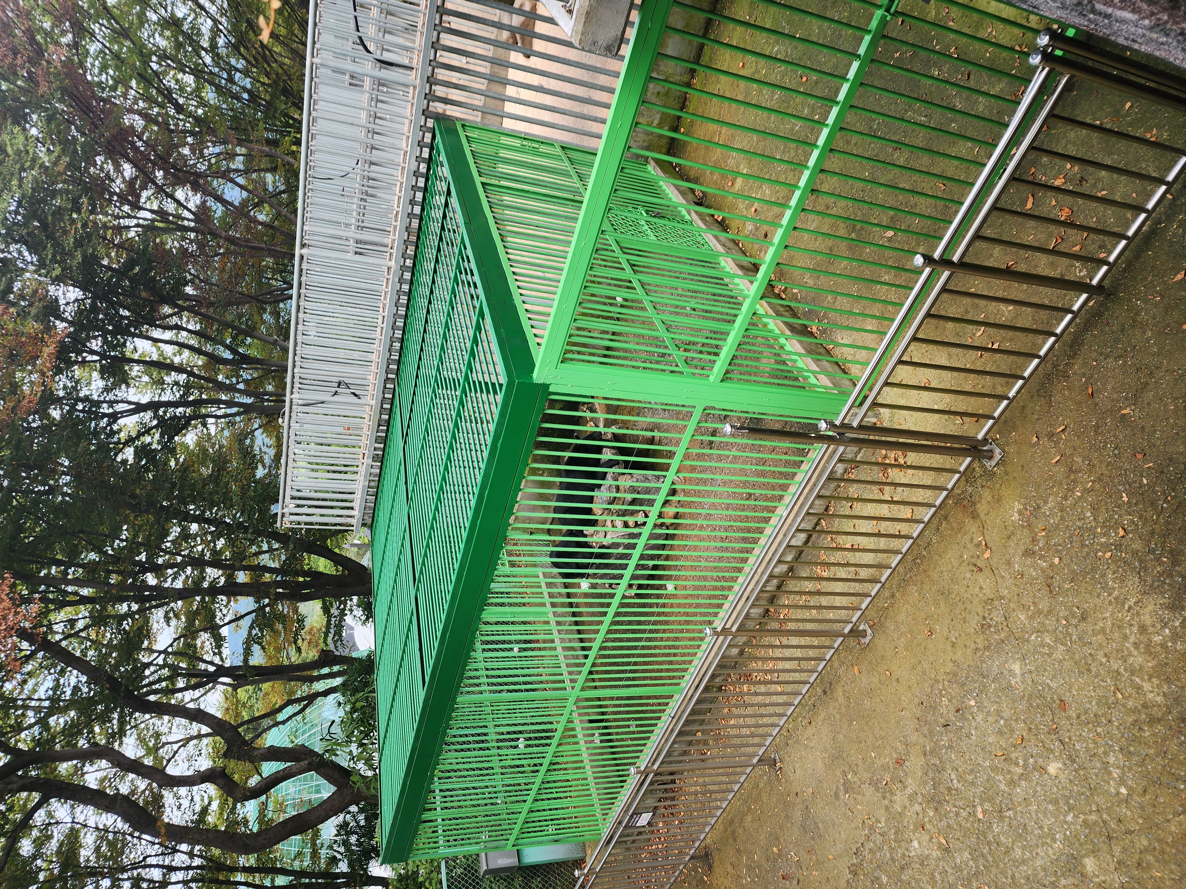 세종시 베어트리파크 곰 사육환경