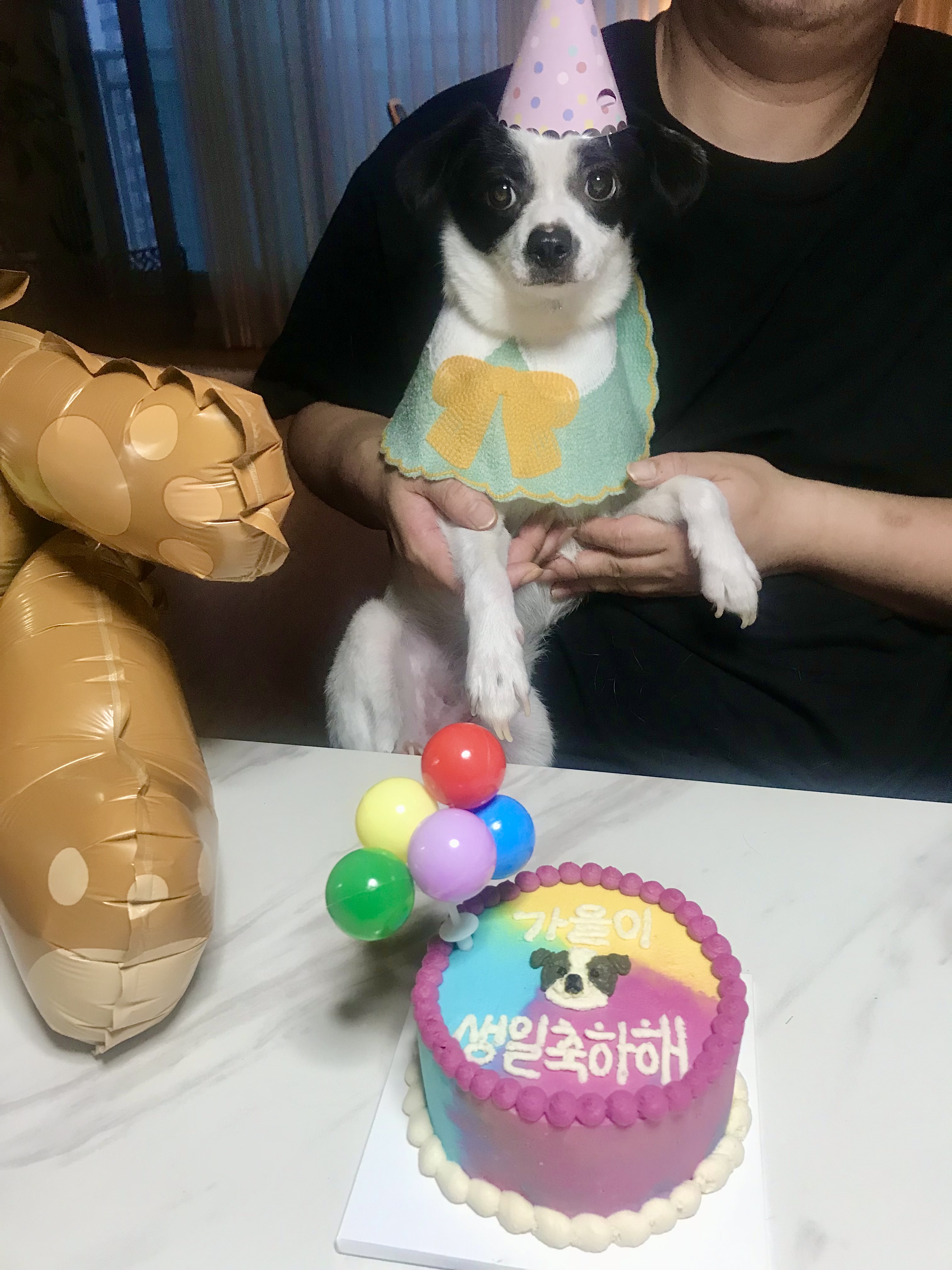 가을이(모뜨)와 1년~