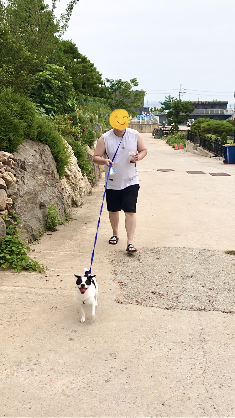 가을이(모뜨)와 1년~